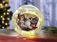 Glaskugel mit Beleuchtung Katzen Glaskugel Weihnachten XMas 17881 - Birkenfeld (Baden-Württemberg)