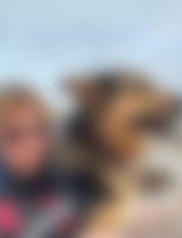 Net*** - Heiligenhafen