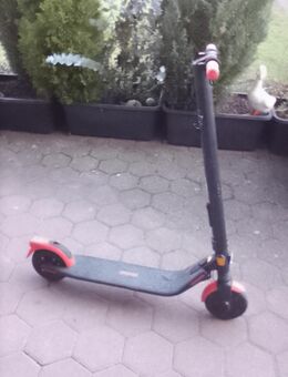 E-Scooter Segway Ninebot - Hamm