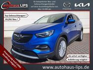 Opel Grandland X 1.2i Automatik Business INNOVATION - Bad Kreuznach