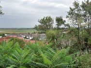 Paradiesisches Bauland in Süd-West Hanglage mit gigantischem Ausblick! Grundstücksteilung möglich! - Holzheim (Landkreis Dillingen (Donau))