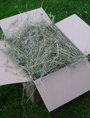 Verkaufe Bio Heu Wiesenheu vom 1. Schnitt aus 2025 in 09228