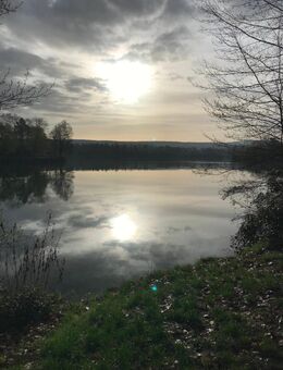 Beziehung zu einer Dame gesucht - Aschaffenburg