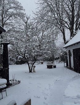Ihr neuer Lieblingsplatz mitten in Bad Bevensen ... - Bad Bevensen