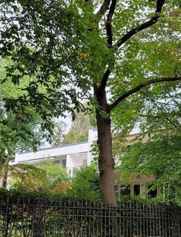 Traumwohnung in Grunewald: 2 Zimmer, Südwest-Balkon, Gartenparadies - Berlin