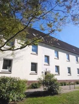 Bringen Sie Ihr Herz mit, es wird sich wohlfühlen! - Duisburg