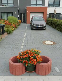 Haus mit einem großen Obstgarten in "Wolfsburg-Laagberg" zu verkaufen - Wolfsburg