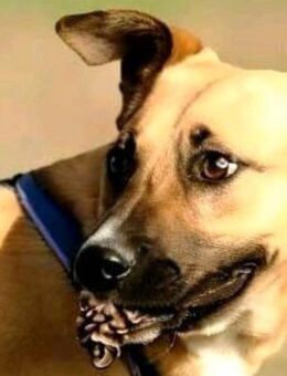 Hallo Welt,ich bin Iskierka✨ - Nettetal