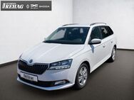 Skoda Fabia Combi 1,0 TSI Ambition *ALLWETTER*KLIMA*PD - Recklinghausen