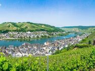 Weinberggrundstück in Zell (Mosel) - Zell (Mosel)