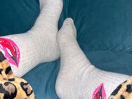 Socken 4 Tage getragen - Berlin Mitte