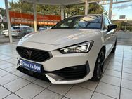 Cupra Leon - Groß Umstadt