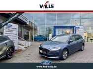 Ford Focus, Titanium Easy-Parking EcoBlue, Jahr 2023 - Dülmen