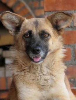 Sanfte, ruhige Flurina - Kallmünz