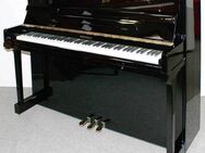 Klavier Hohner HP-120 schwarz poliert, Baujahr 1995, 5 Jahre Garantie - Egestorf