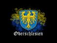 Akkordeonspieler aus Schlesien: deutsche, internationale Musik in 48157