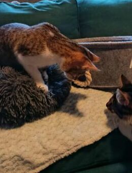 Antony + Sunbeam sehen mit dem Herzen - Garbsen