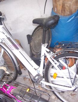 Damenfahrrad NEU - Kirchenlamitz