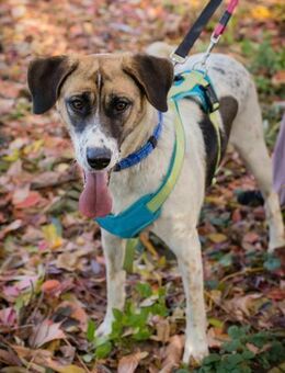 NADA - Familienleben für mich entdecken - Overath