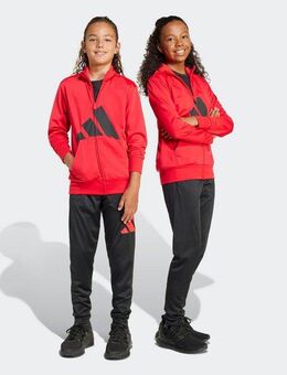 adidas Sportswear Trainingsanzug J BL TR TS 205 (2-tlg)