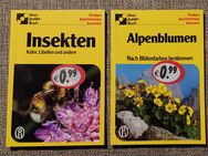 Finden Bestimmen Kennen Alpenblumen Insekten K27 - Löbau