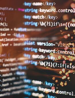 Individuelle Erweiterungen/Plugins für Shopware 6 - Schliengen