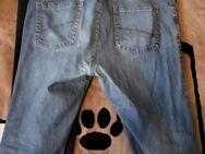 Levis Jeanshosen, Jeansjacke, Jack Wolfskin Cargo Hosen, Shorts und T-Shirts - Herne