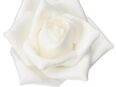 6 Stück weiße Rosen Schaumrosen, Grabrosen künstlich, 9 cm in 37170