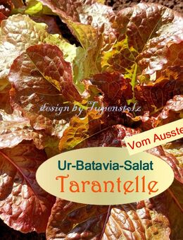 ♥ Ur Batavia Salat Tarantelle, gold Rarität,Alte Sorte Samen,Garten Tulpenstolz,samenfest, bedrohte Art,samenfest ,bunte Salate - Hamburg