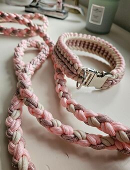 Paracord Hundeleine und Halsband Set in rosa beige - Seevetal