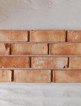 Echte alte Ziegelsteine Antik Riemchen Verblender Retro Klinker Backstein terracotta used look - Salzatal