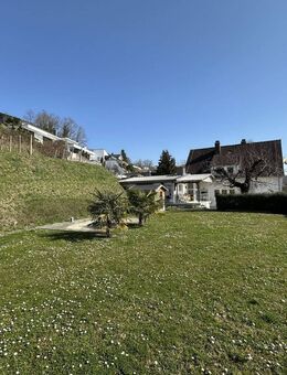Wohnhaus in einzigartiger Hanglage mit Vogesenblick auf großes Grundstück und ca. 375m² Wohn/Nutzfl. - Herbolzheim