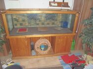 Aquarium Terrarium Aqua-Terrarium Quarantäne-Becken 375 Liter Unterschrank Abdeckung Massiv Holz Baujahr 1972 Bastler - Bottrop