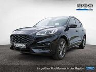 Ford Kuga 2.5 Plug-in-Hybrid PHEV ST-Line EURO HUD - Halle (Saale)