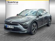 Citroën C5, X, Jahr 2022 - Rendsburg