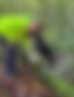 Lan*** - Osterholz-Scharmbeck