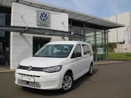 VW Caddy, 1.5 TSI Maxi Basis, Jahr 2024 - Mücke