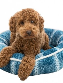 Trixie Xmas Bett „Lumi“ – Petrol/Weiß | NEU + Versand - Berlin