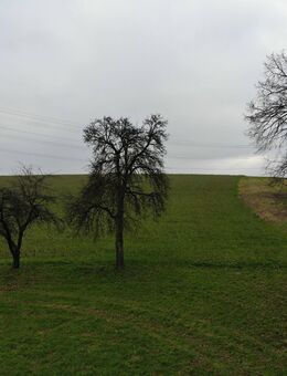 Hof / Anwesen mit Ackerfläche; - Altfraunhofen