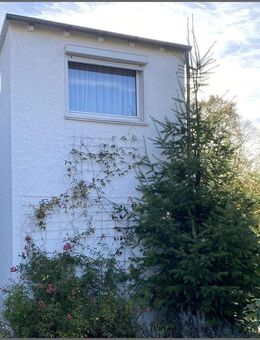 Charmante "Doppelhaushälfte" in Soest - aufgeteilt in 2 Wohnungen einschl. 2 Garagen - Soest