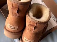 UGG Boots - Ochtrup