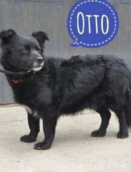 Otto ein toller Bub - Mannheim