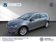 VW Golf, 1.6 TDI VII Comfortline, Jahr 2017 - Schleswig