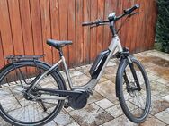 E-Bike Falter - Leverkusen