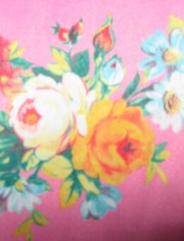 NEU * Designer * Romantik * Rosen * Blüten * Flower- Power * Salsa * Bodycon * Stretch * Reinschlupf * Mini- Kleid * Gr. 36- 38/ S * pink * bunt * - Riedlingen