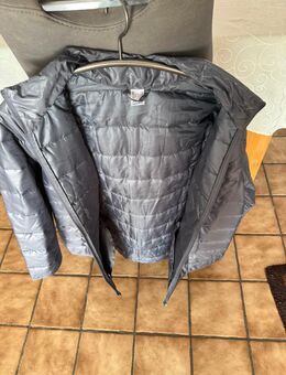 Steppjacke - Ebhausen