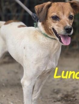 Luna5 liebevolle mutige Lady 06/17 ESP - Ruppertsecken