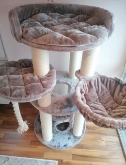 Kratzbaum, Katzen, Neu - Wernigerode