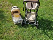 3in1 Kinderwagen - Niemegk