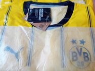 BVB Heim-Trikot 2024/25 Größe L in OVP - Soest